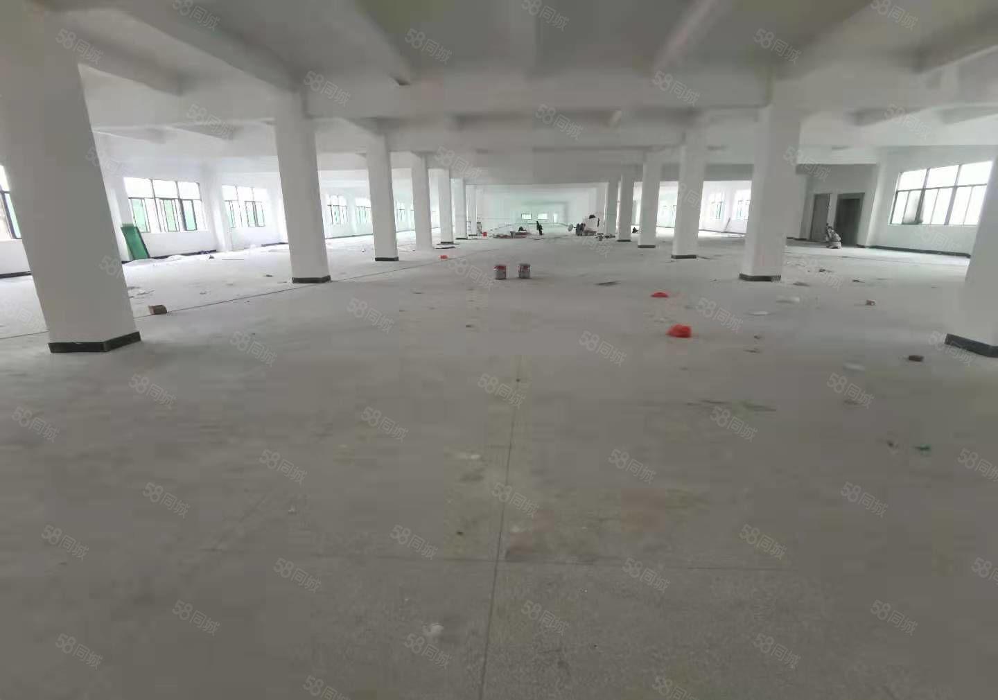 马安镇新乐工业区全新独院厂房3层共5250平出租空地大可分。