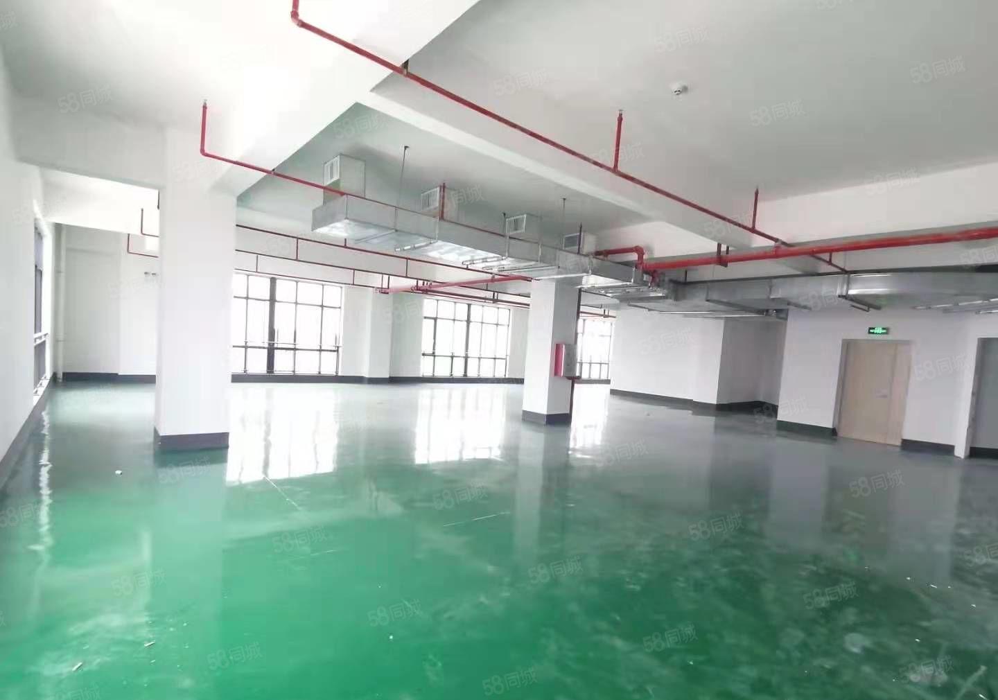 马安产业园780平全新装修厂房出租 租金优惠