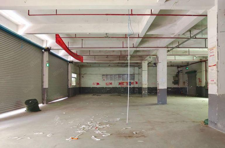 马安新乐 园区一楼650，400平厂房仓库出租 看中就租