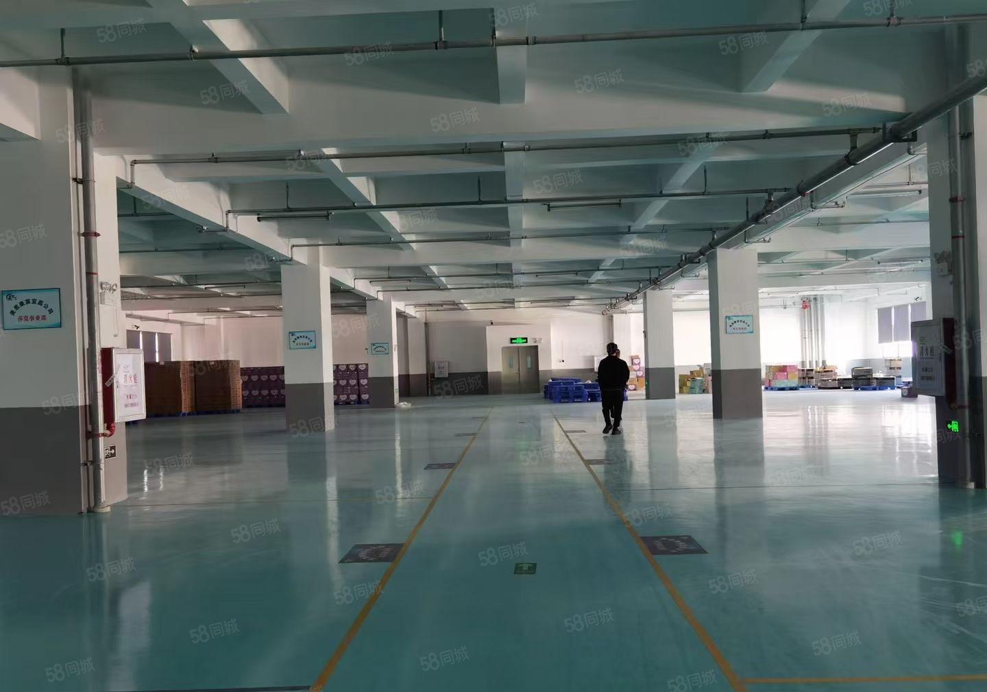 水口十万平米全新产业园内红本厂房招租可分租