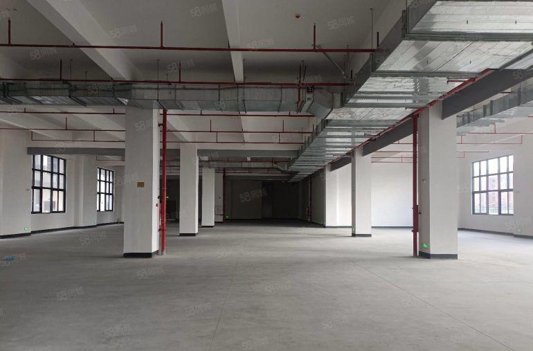 马安独门独院五层约27000平方红本厂房宿舍招租首层高6米