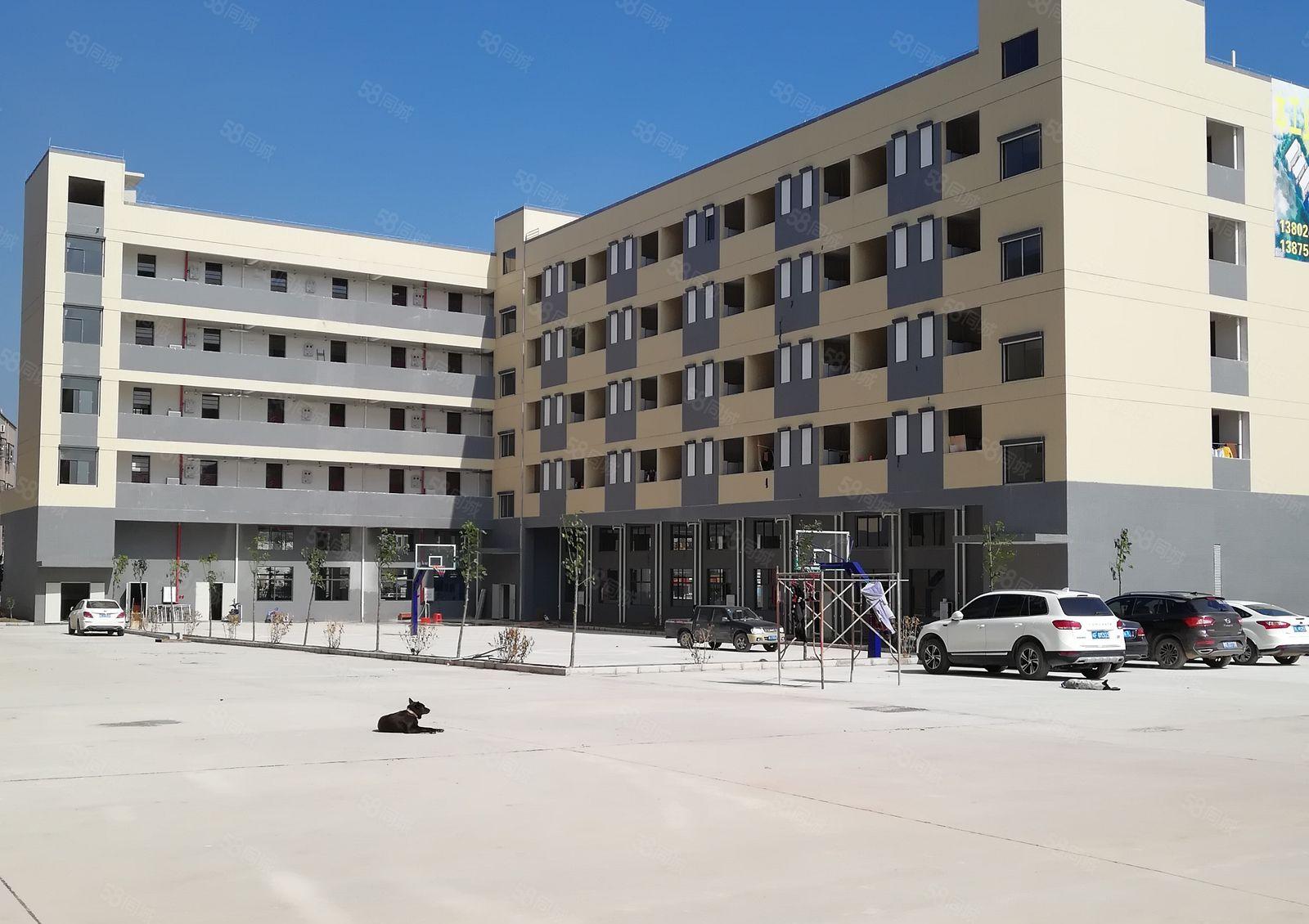 水口仲恺高新区全新厂房火热招租中1000平方起租