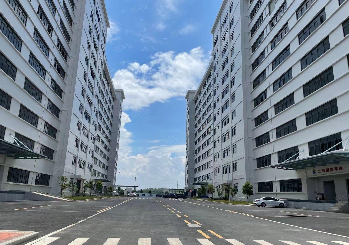 水口荔枝城工业区500至2000平方标准厂房，租金10元证件