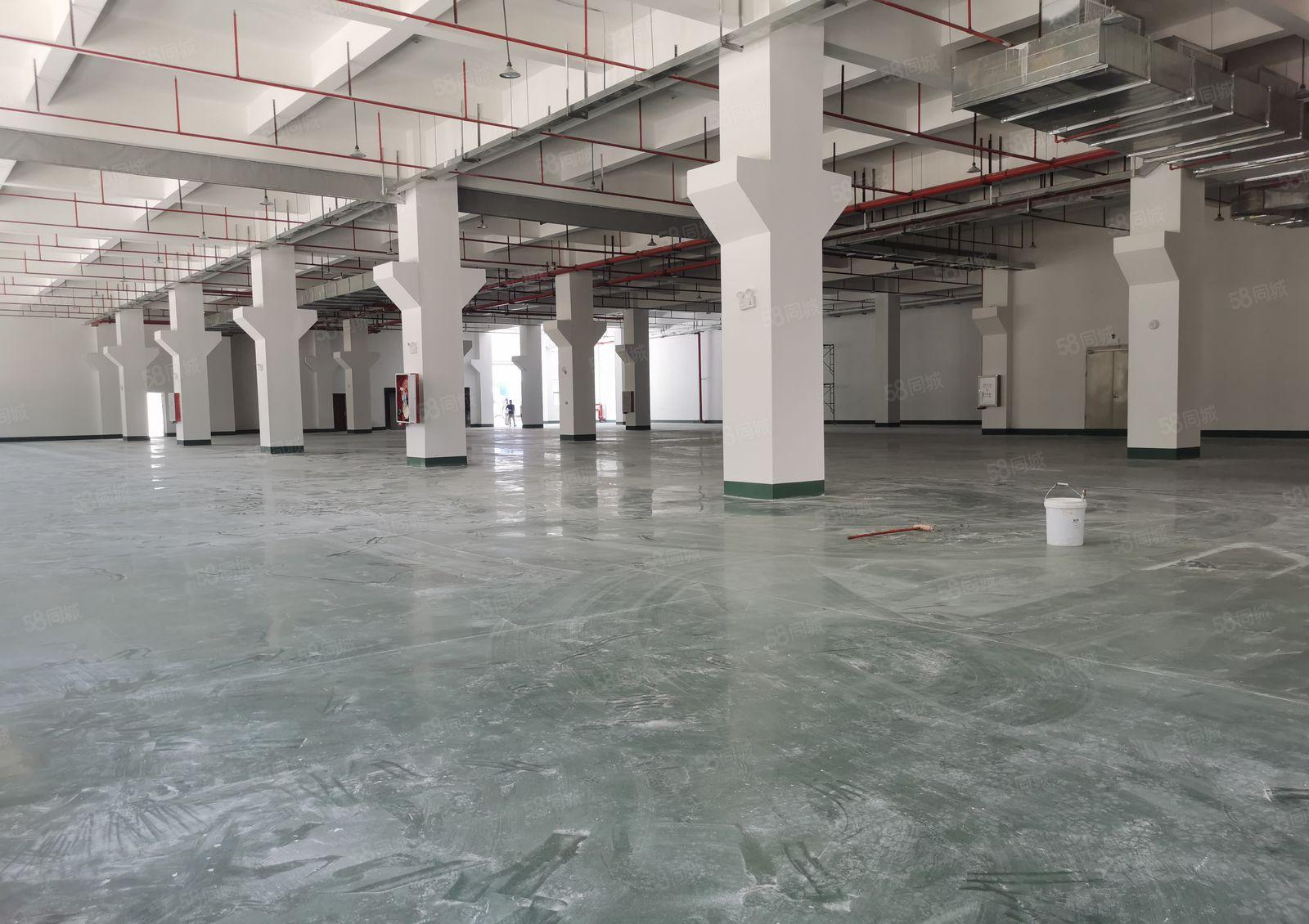 三栋镇全新厂房出租出售300平方起分租