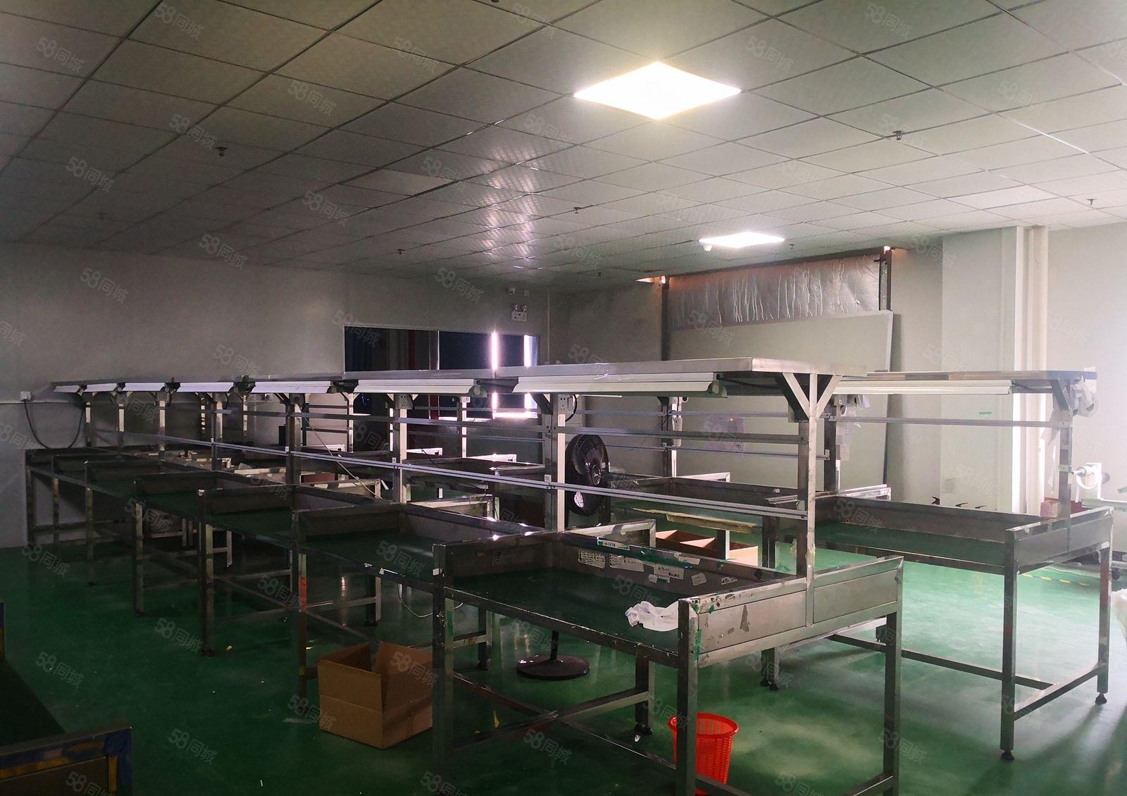 马安汉水金城标准厂房1500平米,现成装修，租金优惠带装修