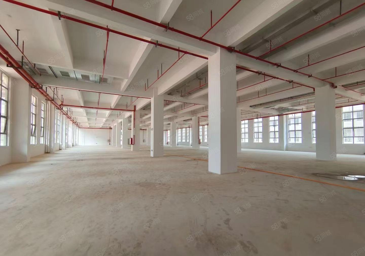 三栋1600平一楼，证件齐全，配电按需，好招工