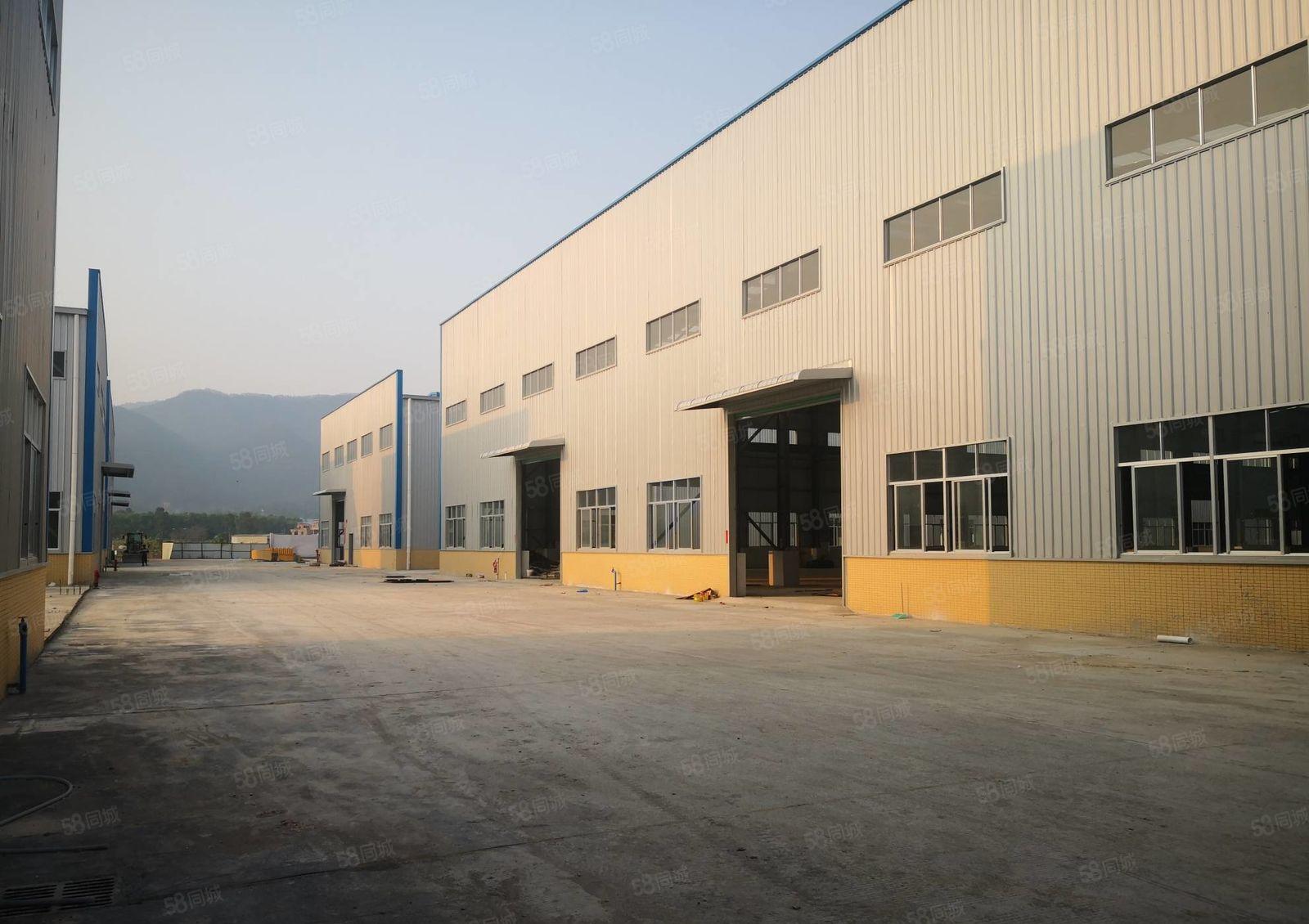 惠阳良井附近工业区内钢构厂房4500平方低价出租