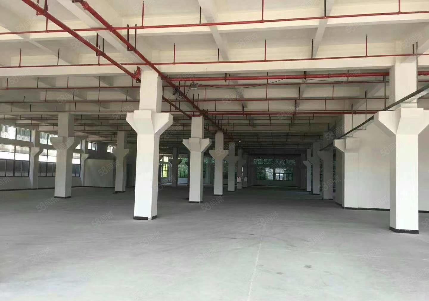 惠州市惠城区原房东全新标准厂房出租，带现成办公室装修