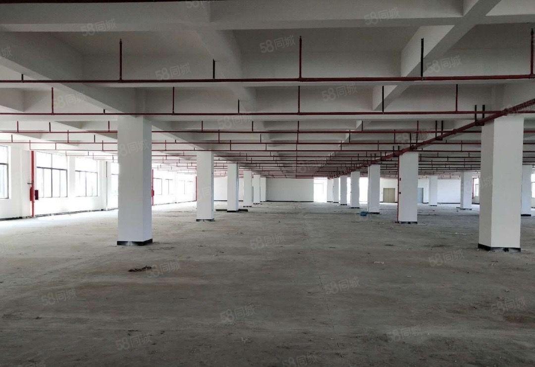 惠州原房东新建标准厂房仓库18万平方出租可分租