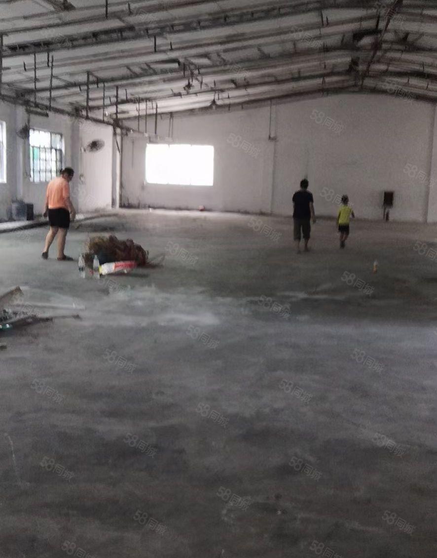 马路边可前店后厂房1600可分租800平适合家居建材证件齐全