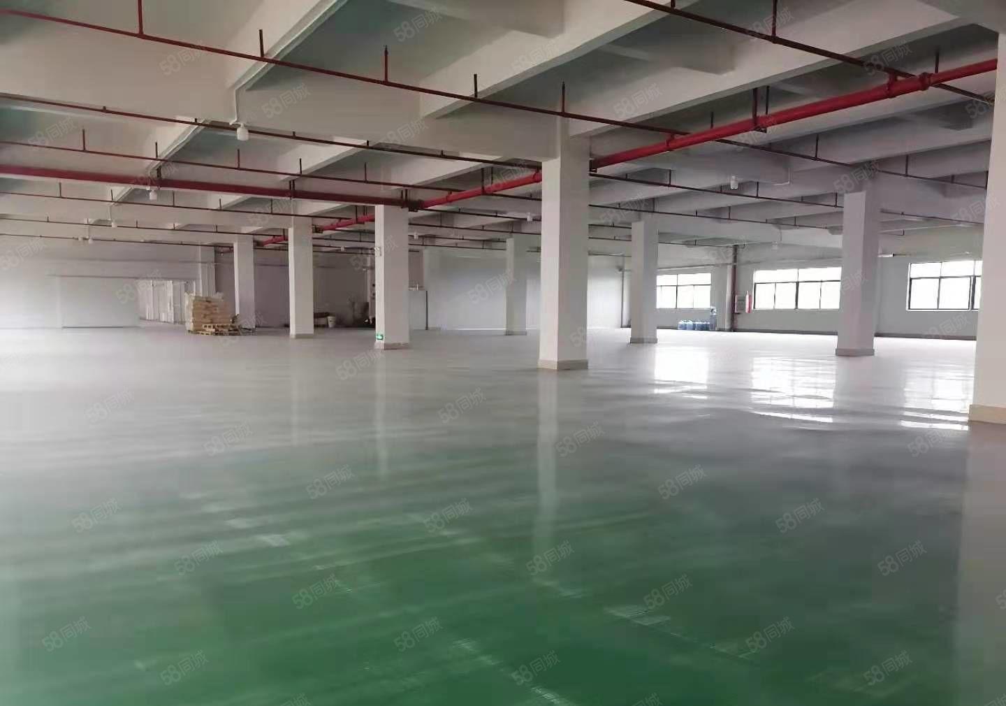 小金口独门独院原房东标准厂房面积6380证件齐全带红本招租