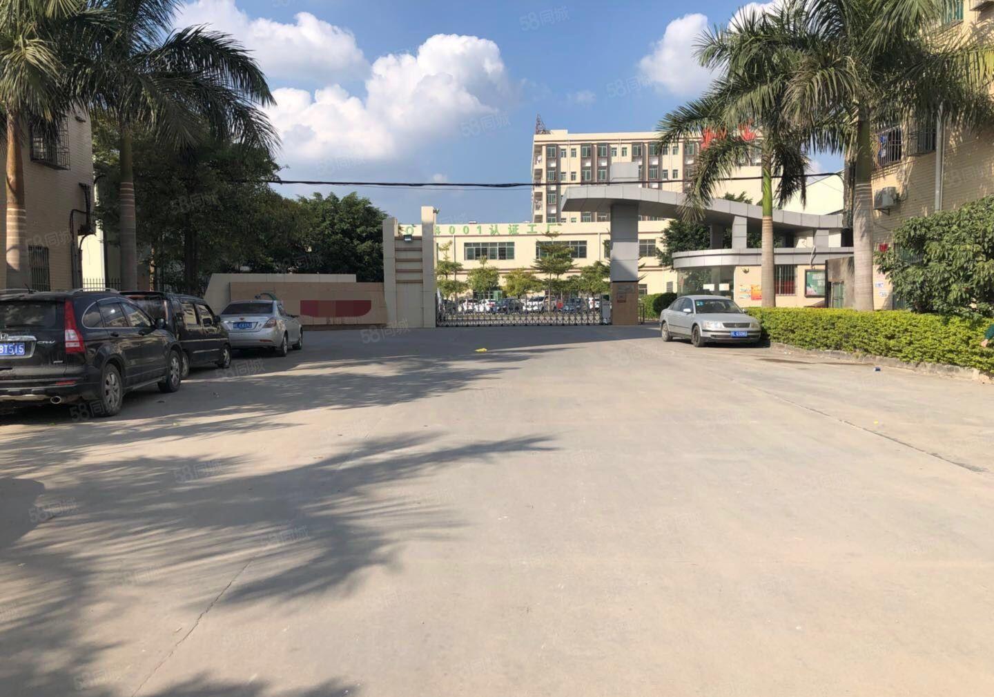 小金口一楼3200平方13元