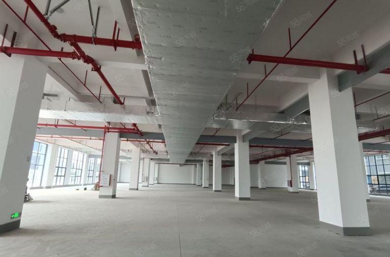 三栋镇工业园一楼1600平方厂房出租，