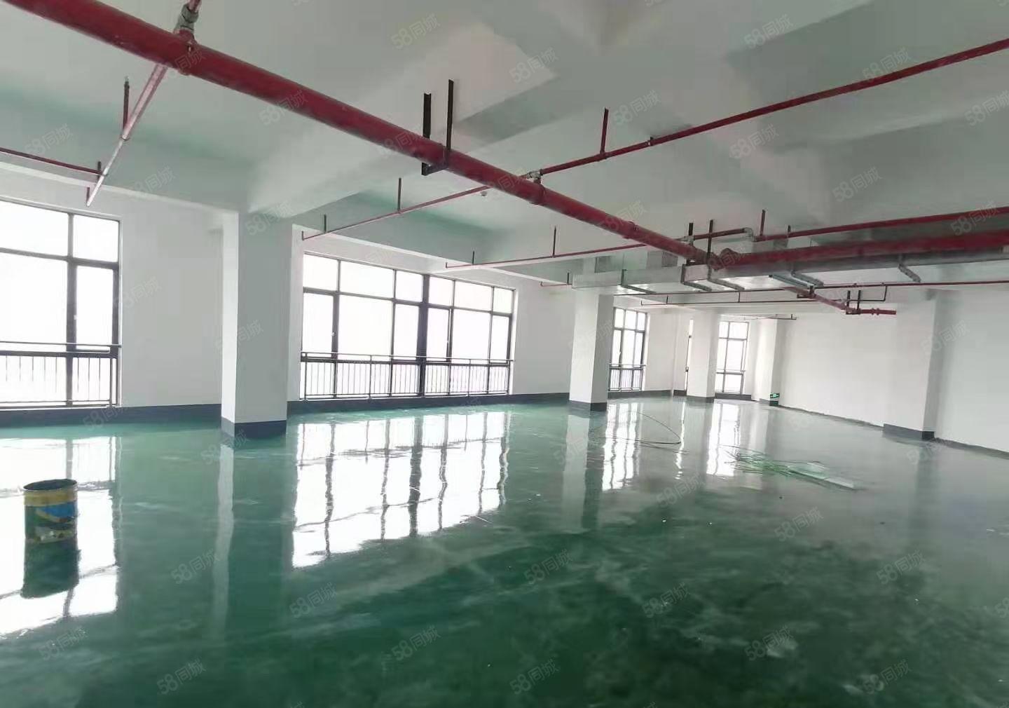 马安汉水金城标准厂房1500平米,现成装修，租金优惠带装修