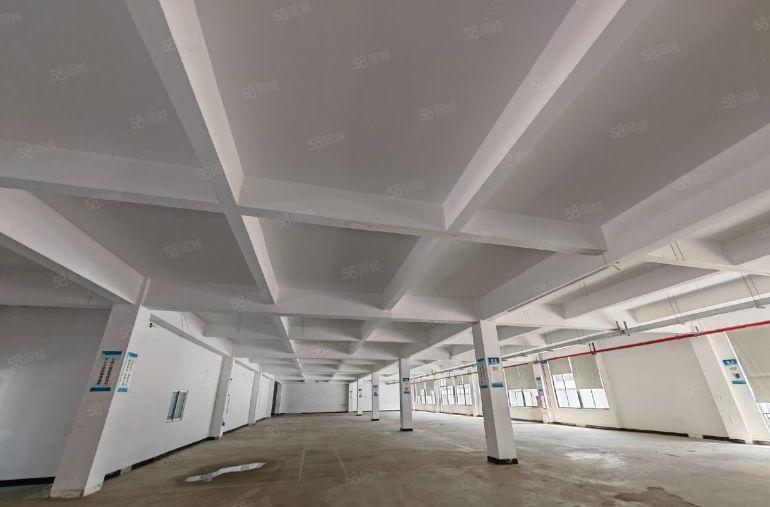 三栋现成装修一楼1650平，证件齐全，好招工