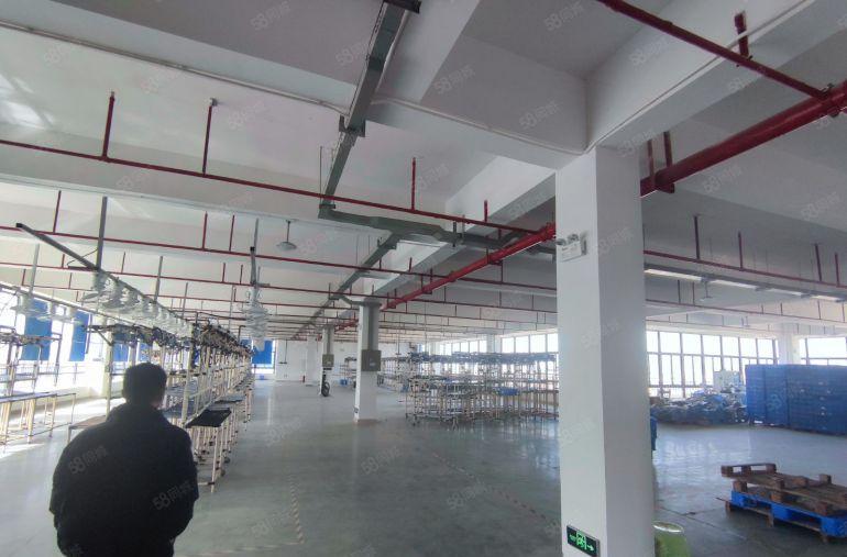 水口大道全新标准厂房出租原房东实际面积单层1300平带装修