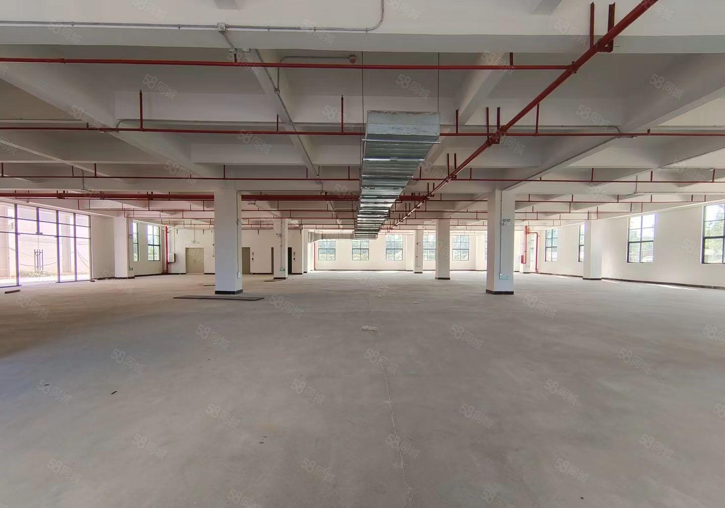 合惠州都田全新独院钢结构厂房招租