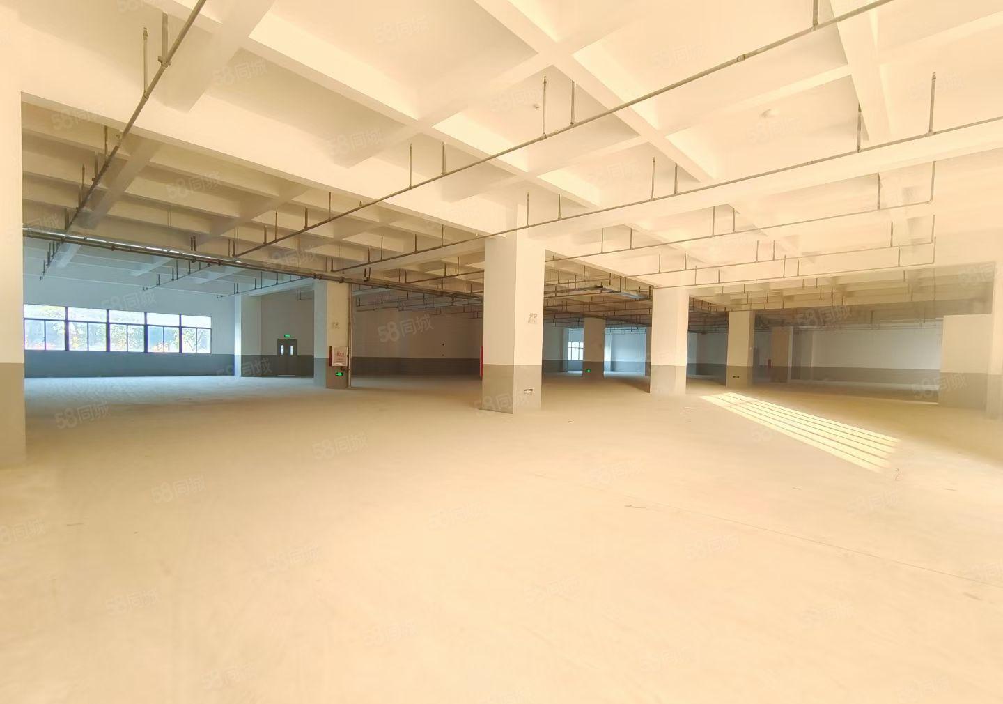 水口经典小独院厂房出租 全新红本 空地大