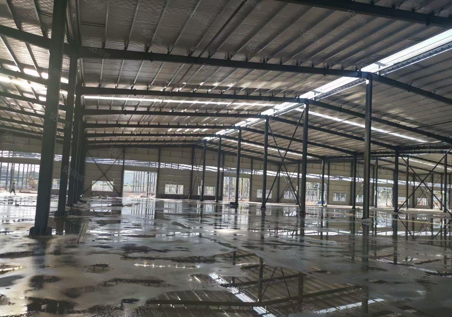 马安原房东钢构厂房8500平方出租，高11米可以分租