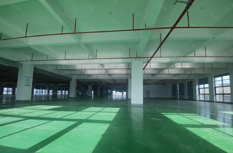 三栋数码园9块带装修单层3600平原房东厂房~300平起分