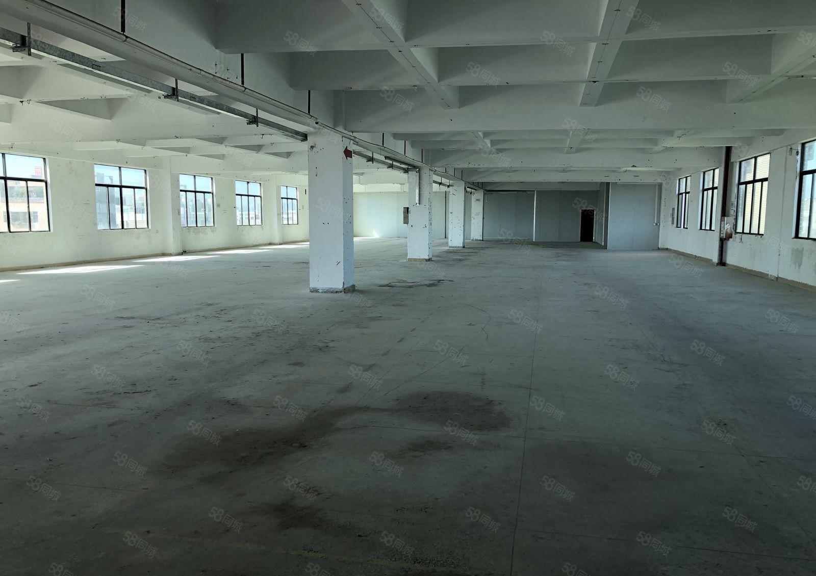 水口标准厂房一楼1700平方米6米高