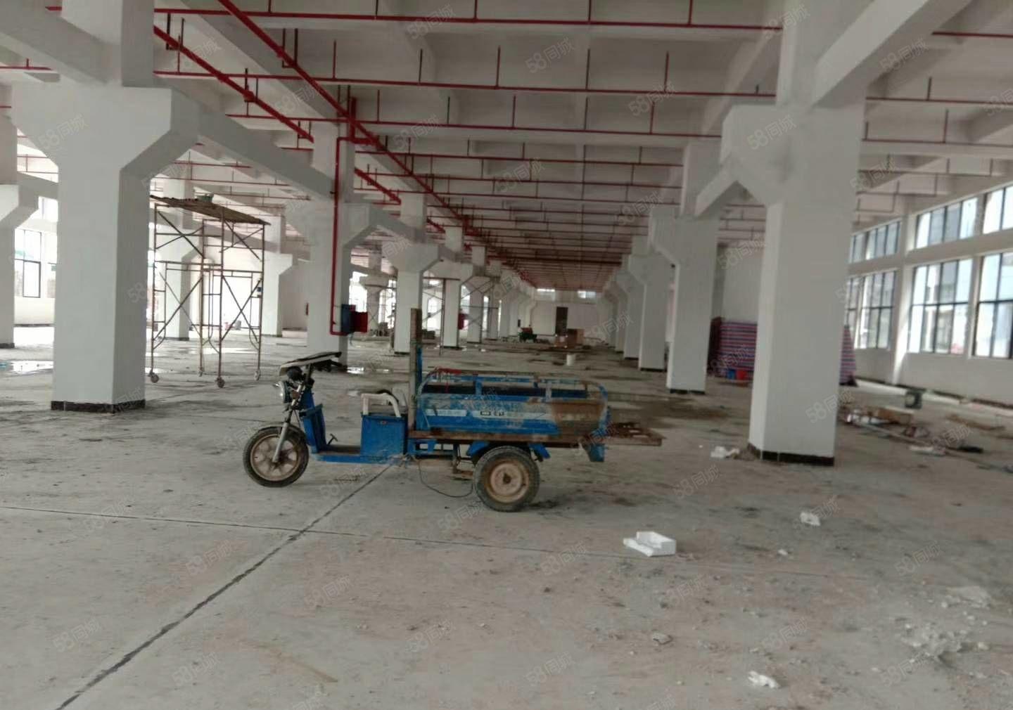 惠州市惠城区原房东独院标准厂房3万方，上市公司