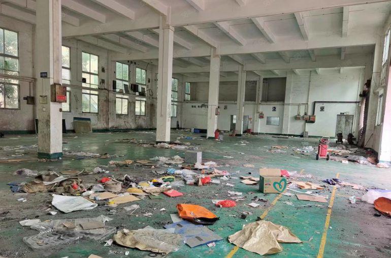 靓马安新出独院厂房4500平米招租