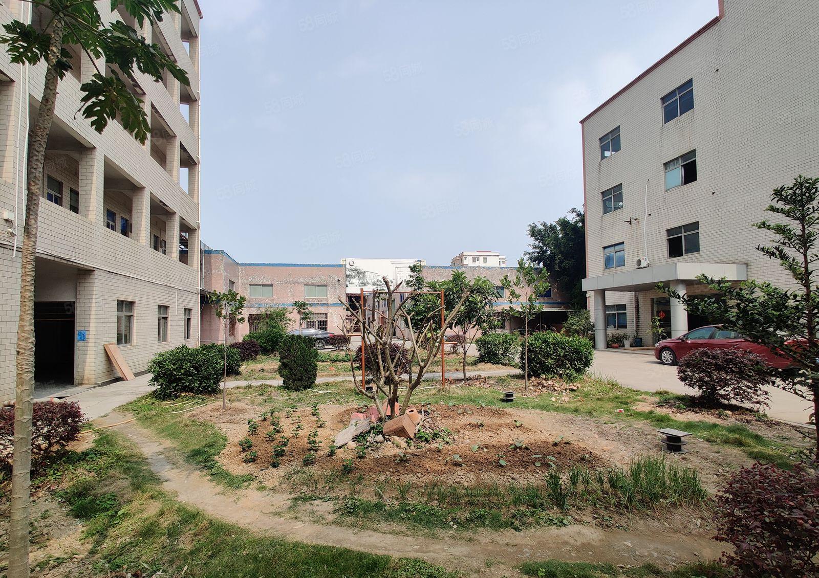 马安镇新乐工业区独院钢构厂房2500招租主线到车间一手房东