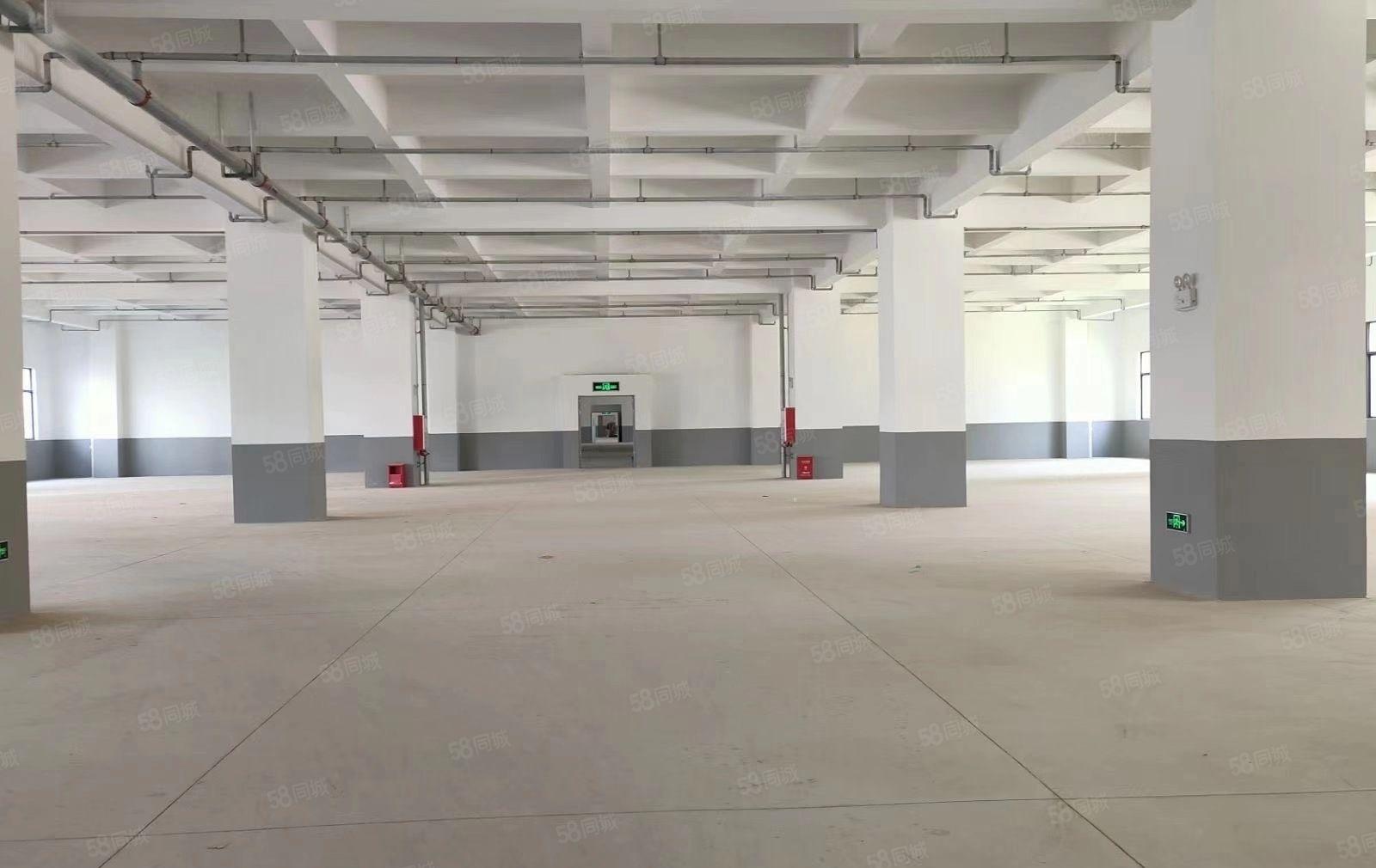 水口中心工业区二楼三楼各2680平厂房出租（可分租）带装修