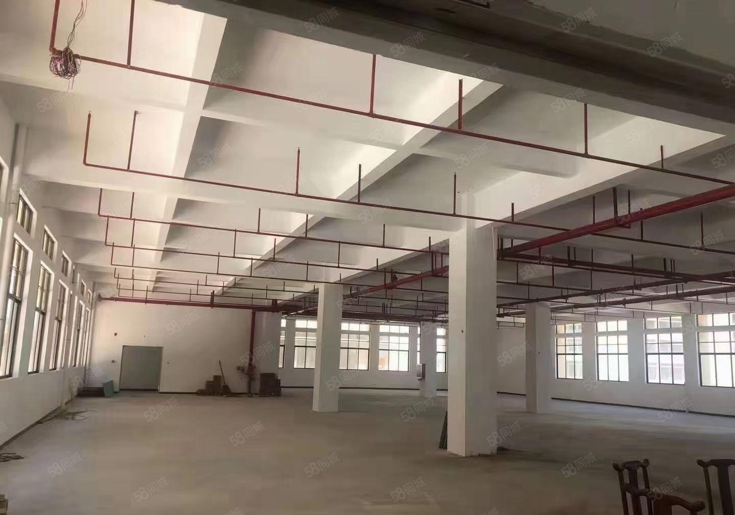 三栋1600平一楼，证件齐全，配电按需，好招工