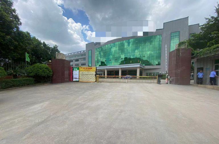 惠城区三栋新出无尘车间1000平原房东实际面积低价出租