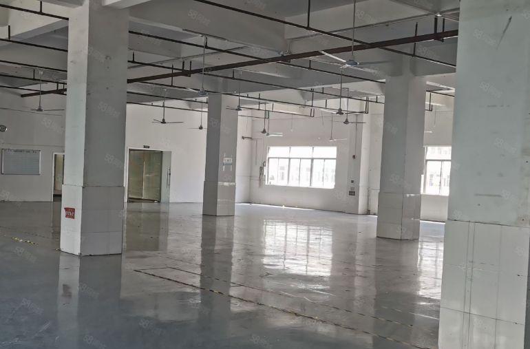 马安新乐二三层各2300平方带装修红本厂房招租可分租