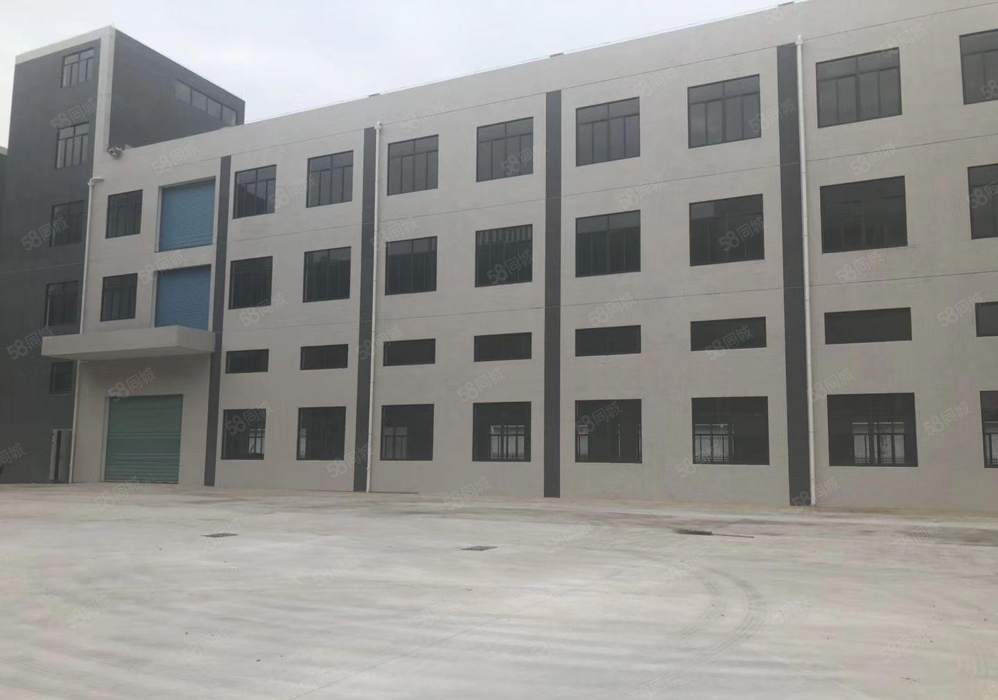 马安标准一楼2600平方，可以分租