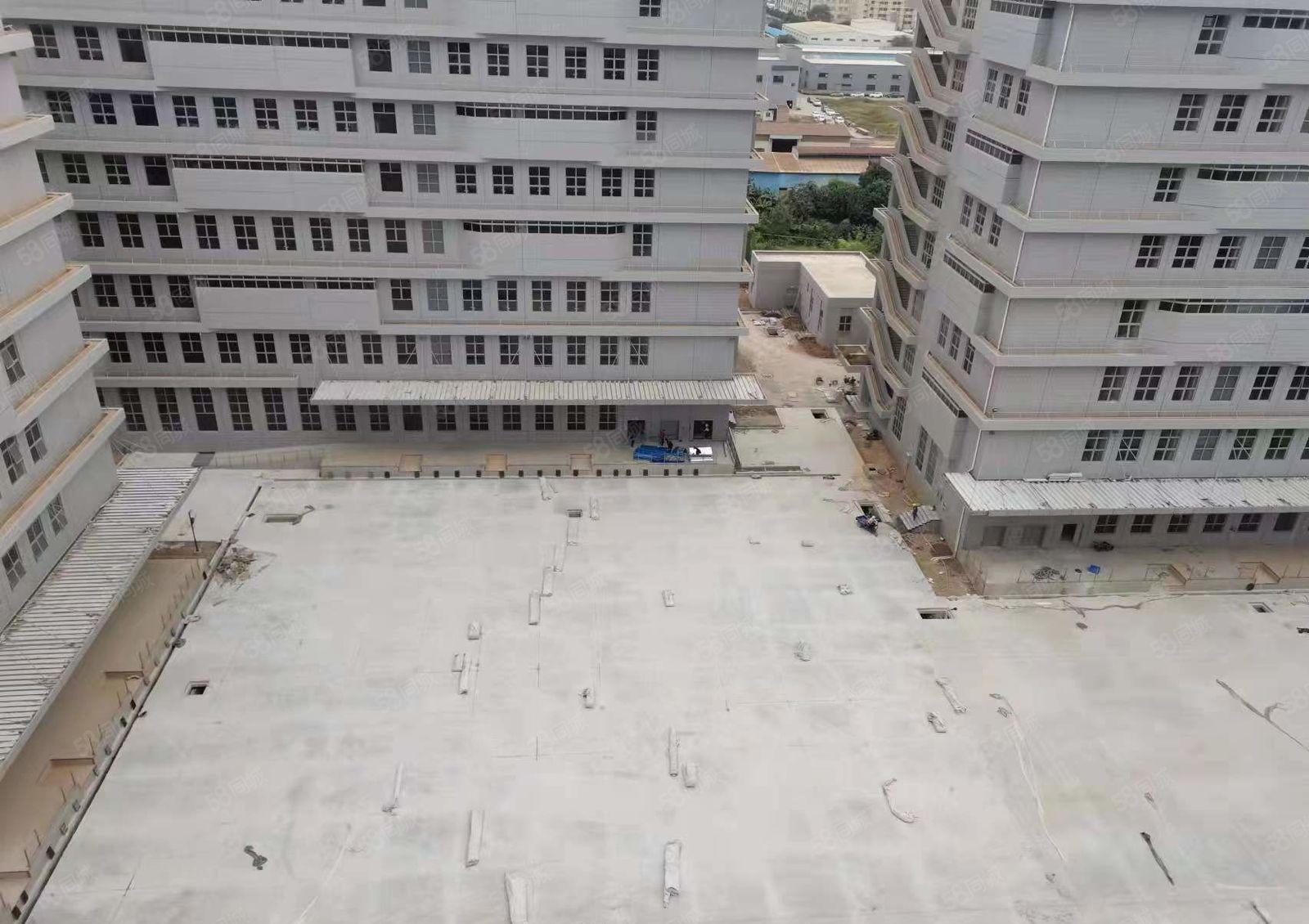 水口东江湾千亿产业园3万平米，面积1000平起租