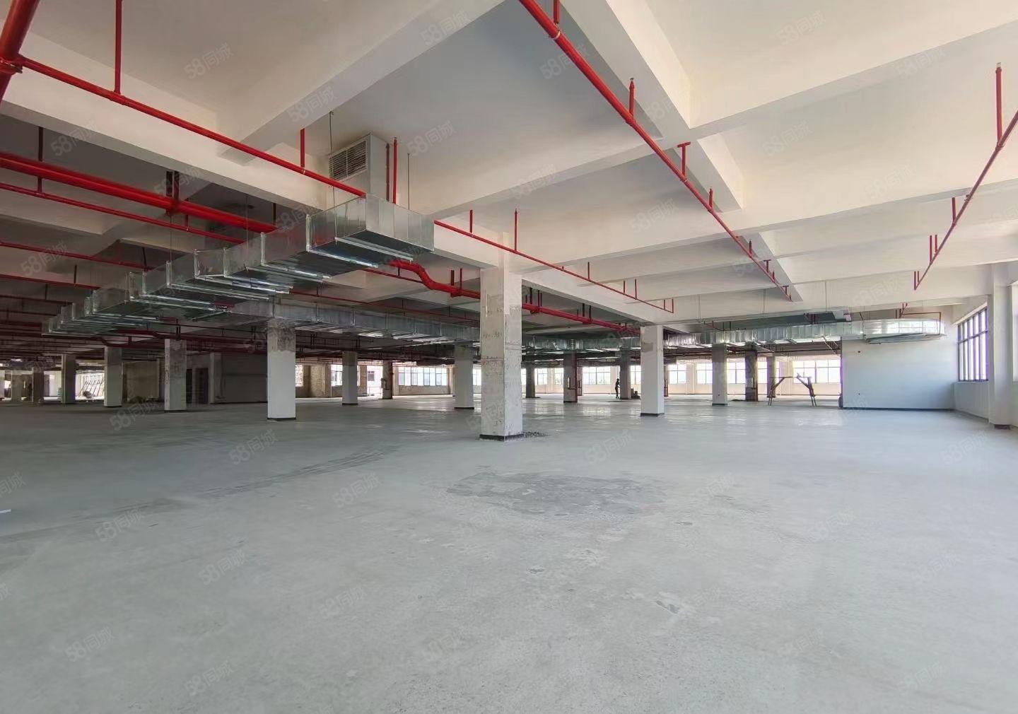 马安花园式园区新出二楼带装修厂房1500平 租金优惠易招工