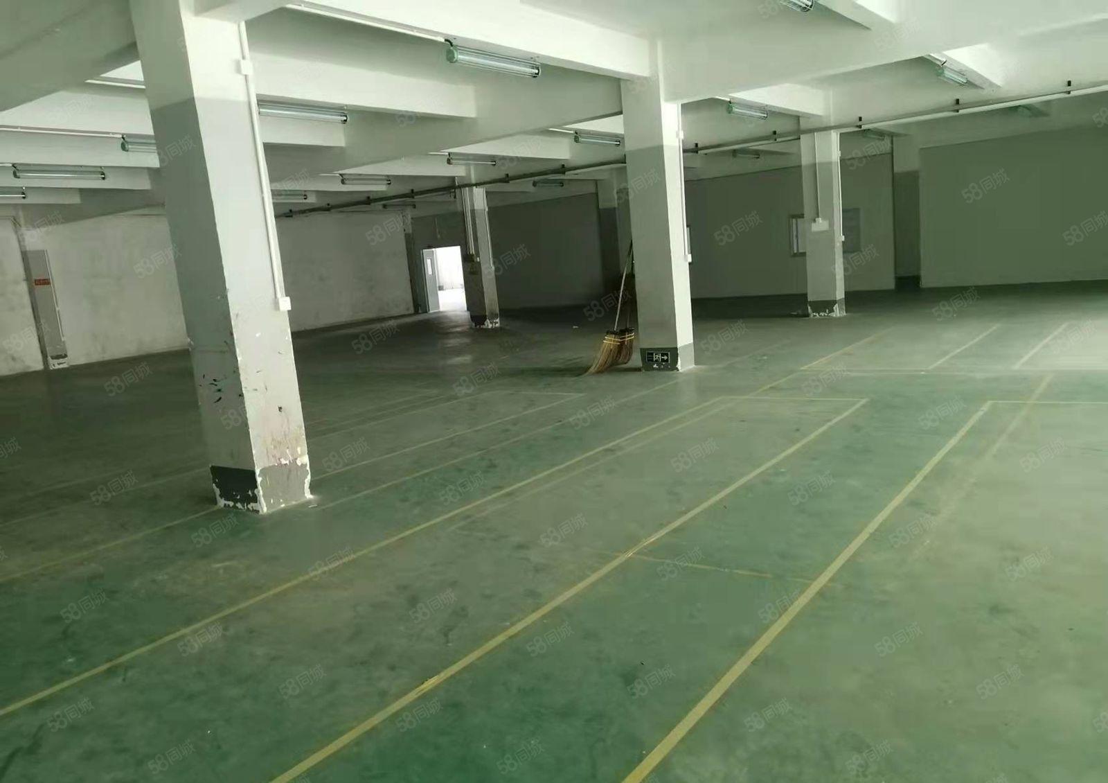 小金新出13块每平（原房东独院厂房）