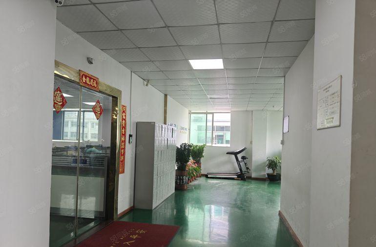 7块惠城水口镇东江湾全新标准厂房2400平一层300起租