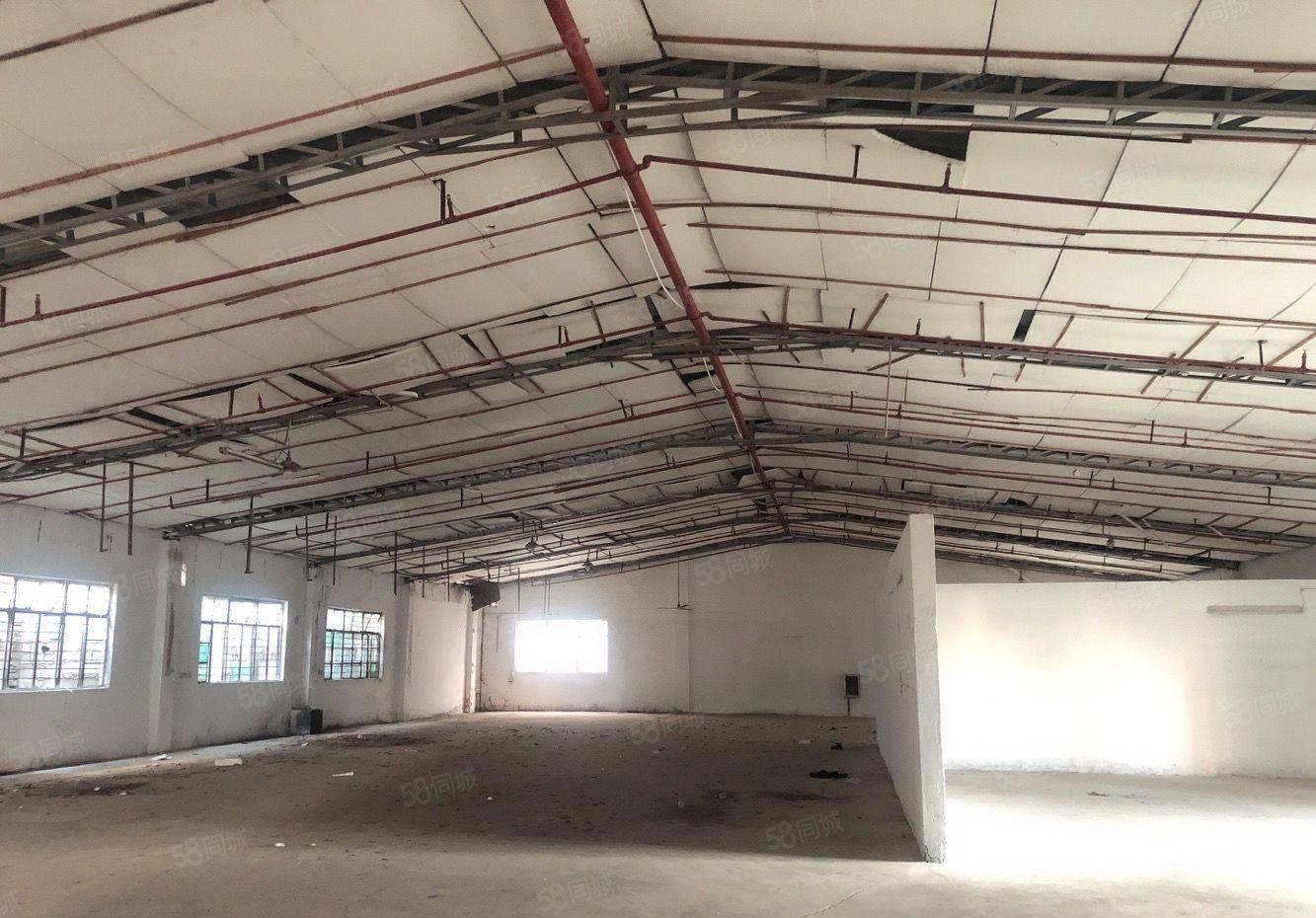 水口东江工业区路口房东直租单层钢结构厂房1600平方