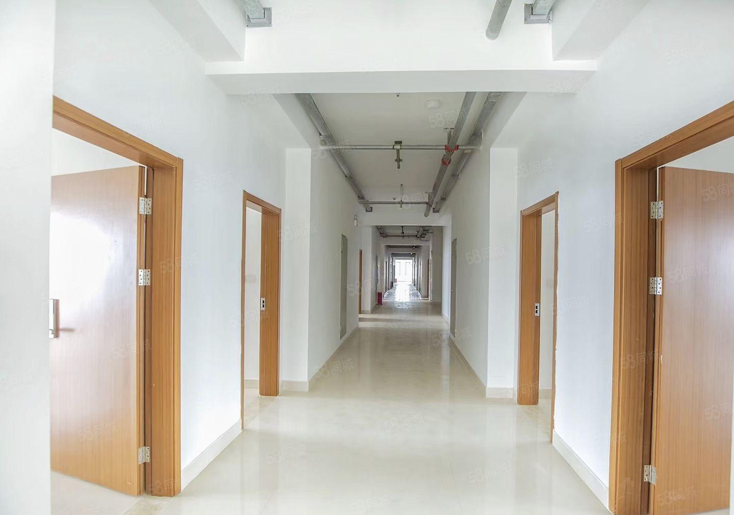 惠城区水口东江10元起2000平标准厂房招租行业不限可办环评