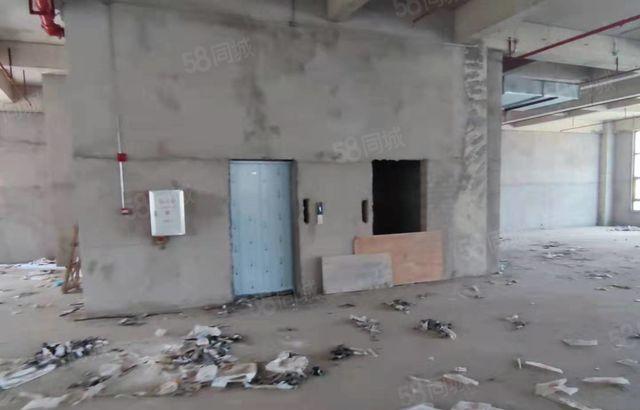 惠城区水口新出全新独院标准厂房出租