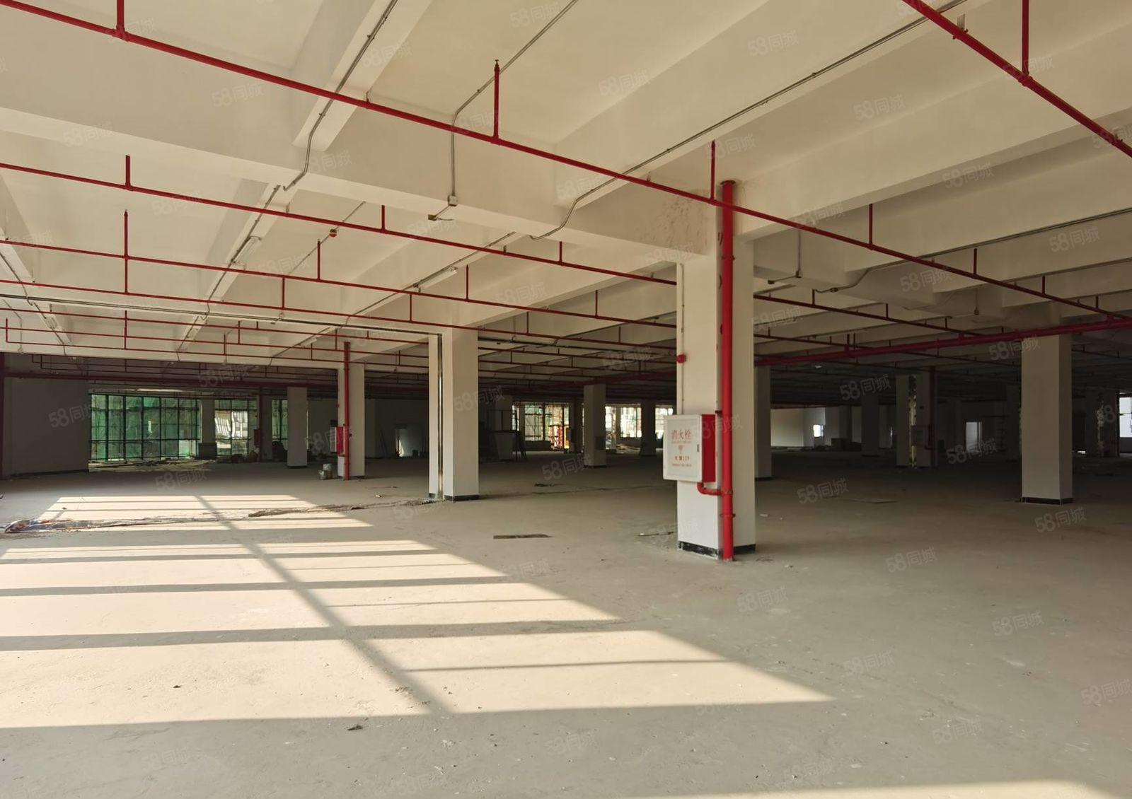 三栋格林精密旁全新厂房4楼1500平米 租金9.9元 证件齐