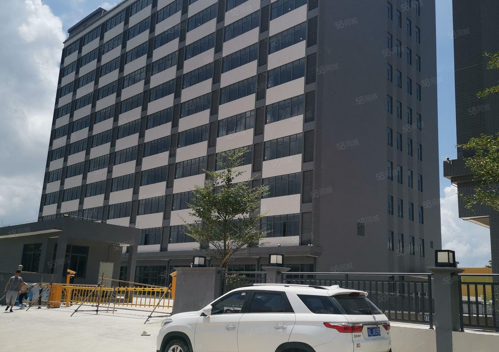 13元起租！水口东江工业区1250平方米起租，整租或分租！