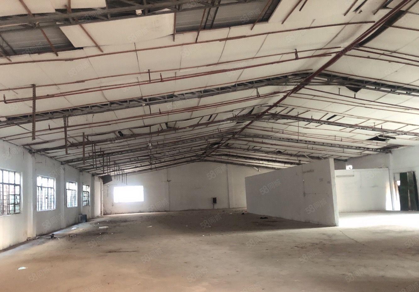 水口东江工业区路口房东直租单层钢结构厂房1600平方