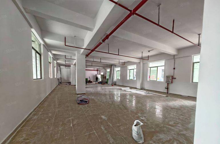 水口龙湖独栋五层共3320平，可分层租，有货梯