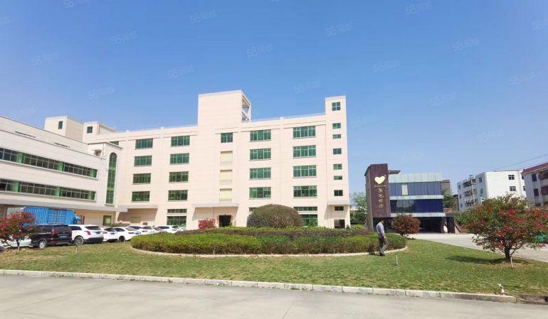 马安新乐一手原房东出租