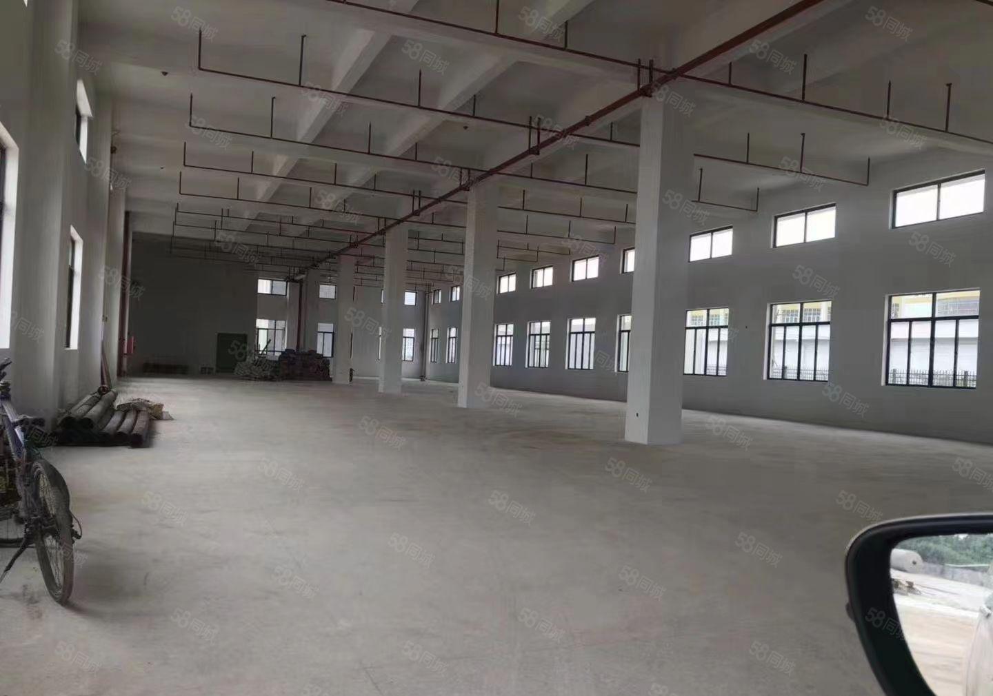 马安镇 全新一二楼单层2600平红本重工业厂房出租