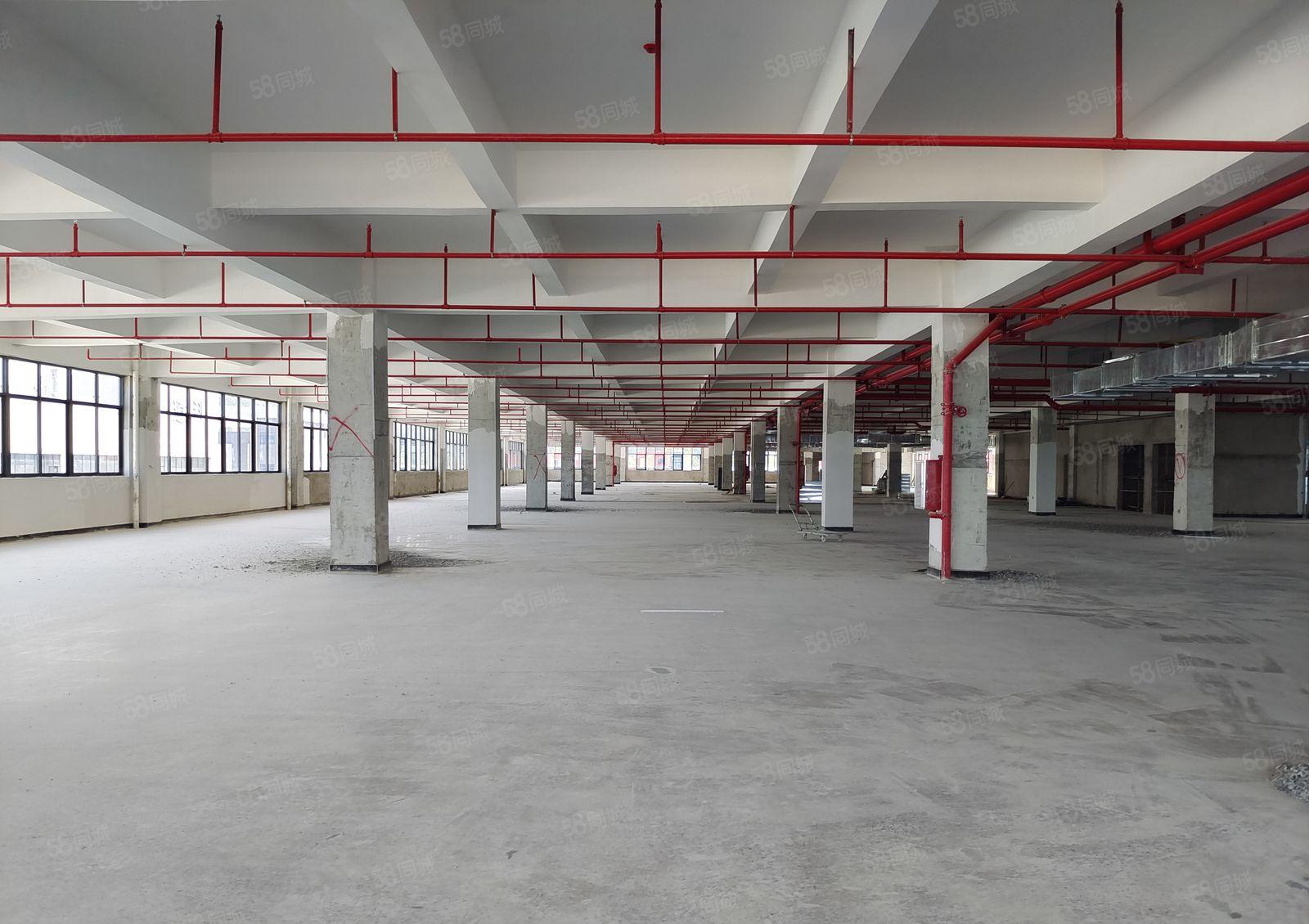 平潭园区标准红本厂房2200平，12元出租