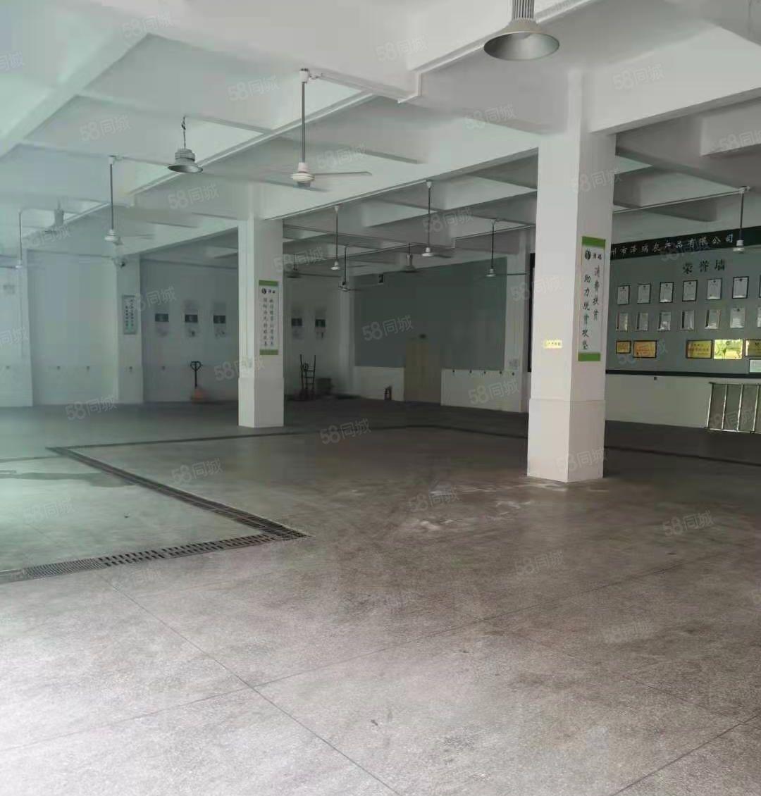 水口大湖溪新空出一楼600平方标准厂房出租 租金18