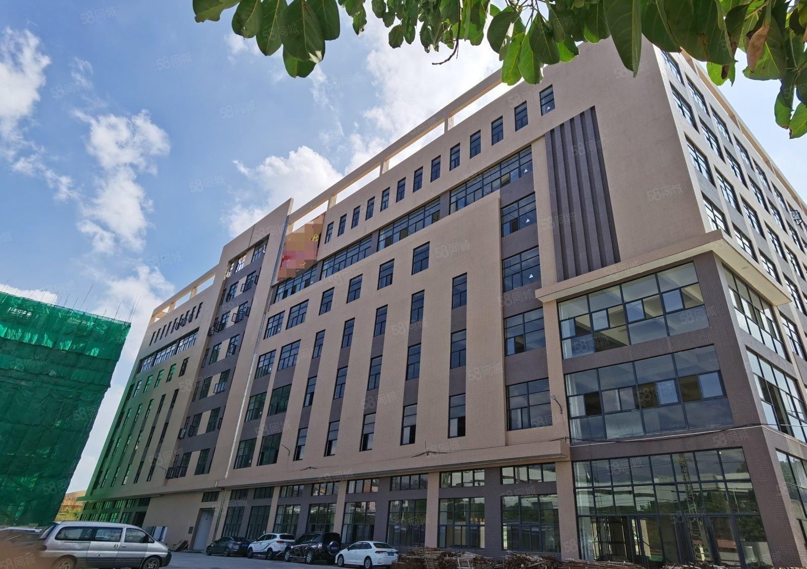 原房东淡水新建5000标准厂房招商高速口交通便利带红本可分组