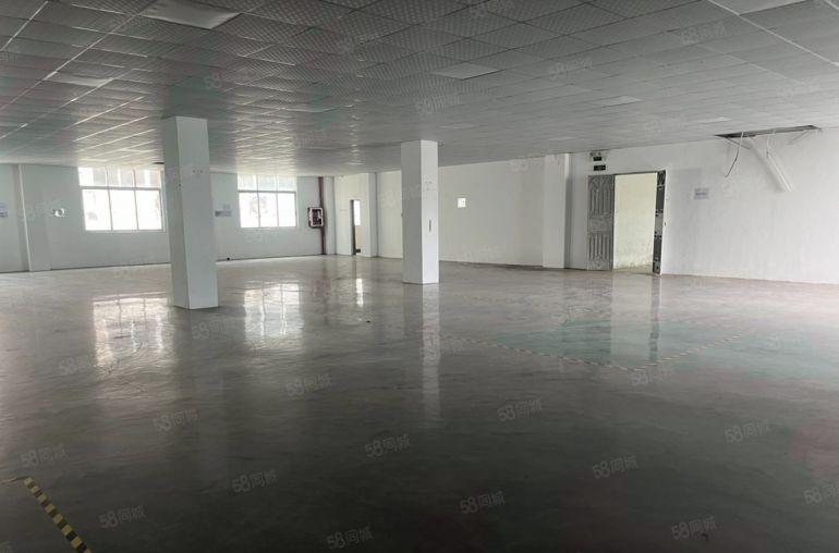 汝湖原房东厂房，1200平方，空地超大，可进大车